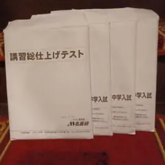 2026年最新】名進研 プレ中の人気アイテム - メルカリ