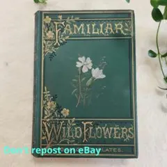 2026年最新】植物図鑑 アンティークの人気アイテム - メルカリ