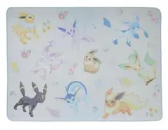 2026年最新】ポケットモンスター プラチナムザッカ 巾着付ブランケット