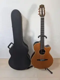 2026年最新】takamine npt-110の人気アイテム - メルカリ