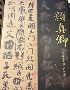 殻ノ少女画展 公式図録 - メルカリ