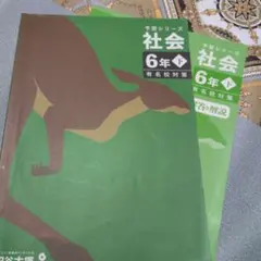 2026年最新】予習シリーズ6年有名校対策の人気アイテム - メルカリ