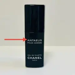 2026年最新】シャネル アンテウス 100mlの人気アイテム - メルカリ