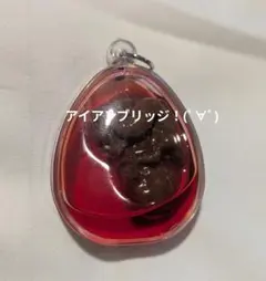 2026年最新】クマントーンの人気アイテム - メルカリ