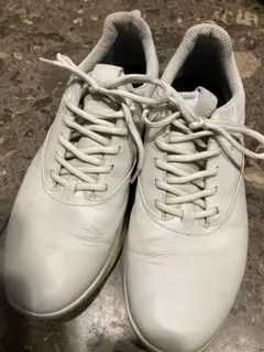 2026年最新】eccoゴルフシューズ 42の人気アイテム - メルカリ