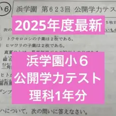 2026年最新】浜学園 公開テスト 小6の人気アイテム - メルカリ