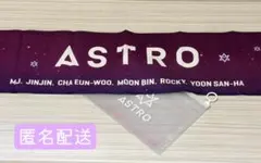 2026年最新】astro スローガン 公式の人気アイテム - メルカリ