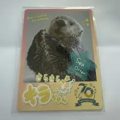 2026年最新】鳥羽水族館コレクションカードの人気アイテム - メルカリ