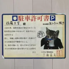 2026年最新】下敷き なめ猫の人気アイテム - メルカリ