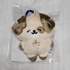 2026年最新】ドンヘ ぬいぐるみの人気アイテム - メルカリ