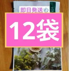 2026年最新】yosa ハーブの人気アイテム - メルカリ