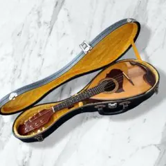 2026年最新】suzuki マンドリン 215の人気アイテム - メルカリ