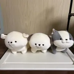 2026年最新】モフモフレンズ チンの人気アイテム - メルカリ