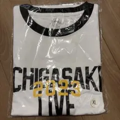 2026年最新】サザンオールスターズ茅ヶ崎ライブtシャツの人気アイテム