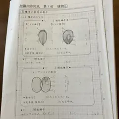 2026年最新】sapix 6年 理科の人気アイテム - メルカリ