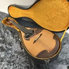 2026年最新】マンドリン 野口の人気アイテム - メルカリ