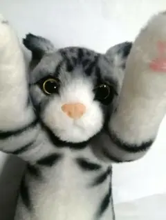 2026年最新】たっちぃZOOの人気アイテム - メルカリ