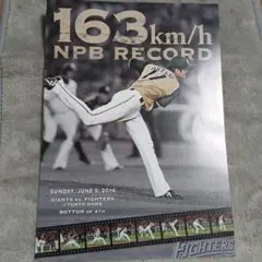 2026年最新】大谷翔平 カード 日本ハムの人気アイテム - メルカリ