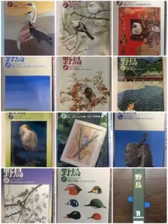 2026年最新】週刊 野鳥の世界の人気アイテム - メルカリ