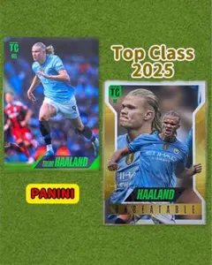 2026年最新】ハーランドカードの人気アイテム - メルカリ