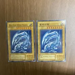 2026年最新】藍眼白龍の人気アイテム - メルカリ