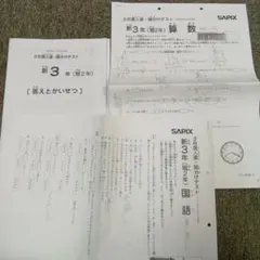 2026年最新】sapix 新3年 入室テストの人気アイテム - メルカリ