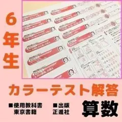 2026年最新】算数テスト 6年 カラーテストの人気アイテム - メルカリ
