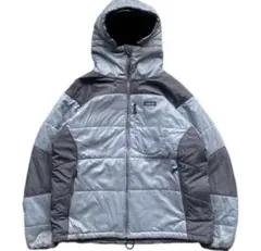2026年最新】PATAGONIA ダスパーカ ステンレスの人気アイテム - メルカリ