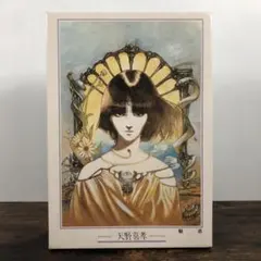 2026年最新】天野喜孝 幻影 ジグソーパズルの人気アイテム - メルカリ