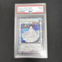 2026年最新】ガーデン・ローズ・メイデン 25thの人気アイテム - メルカリ