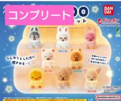 2026年最新】Skzoo ガチャ コンプの人気アイテム - メルカリ