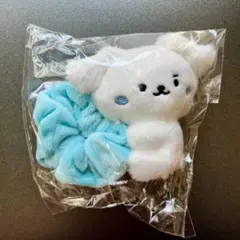 2026年最新】MONSTA X ミニョク ぬいぐるみの人気アイテム - メルカリ