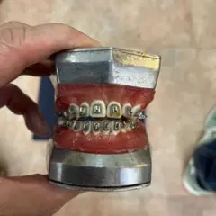 2026年最新】タイポドントの人気アイテム - メルカリ