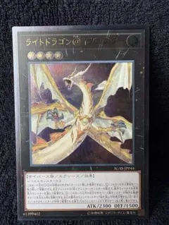 2026年最新】ライトドラゴン＠イグニスターの人気アイテム - メルカリ