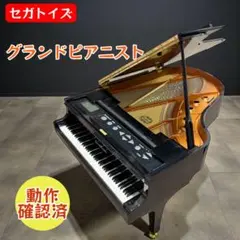 2026年最新】セガトイズ グランドピアニストの人気アイテム - メルカリ