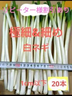 2026年最新】ネギの人気アイテム - メルカリ