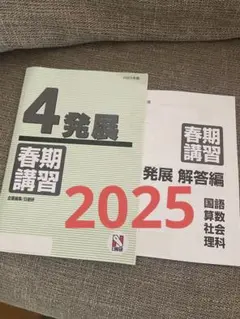 2026年最新】日能研 テキスト 4年の人気アイテム - メルカリ