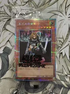 2026年最新】異次元の女戦士 シークレットの人気アイテム - メルカリ