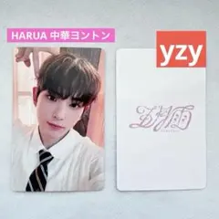 2026年最新】一直娱 &teamの人気アイテム - メルカリ