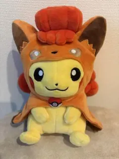 2026年最新】ポンチョを着たピカチュウ 未開封 ロコンの人気アイテム