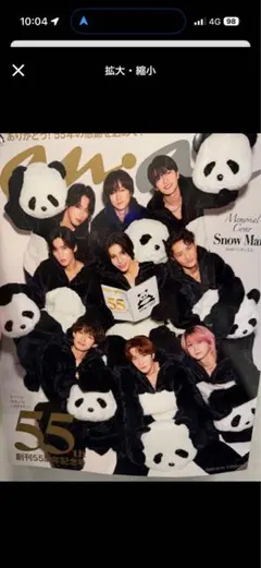 2026年最新】anan パンダ ぬいぐるみの人気アイテム - メルカリ