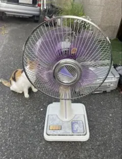 2026年最新】東芝 レトロ 扇風機の人気アイテム - メルカリ