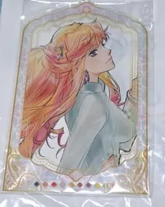 2026年最新】マクロス アクリルパネルの人気アイテム - メルカリ