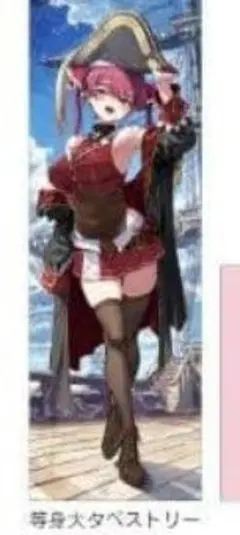 2026年最新】あかさあい 宝鐘マリン タペストリーの人気アイテム