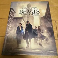 2026年最新】FANTASTICSフライヤーの人気アイテム - メルカリ