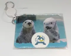 2026年最新】鳥羽水族館 ラッコ キラメイの人気アイテム - メルカリ