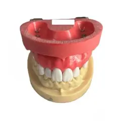 2026年最新】nissin 顎模型の人気アイテム - メルカリ