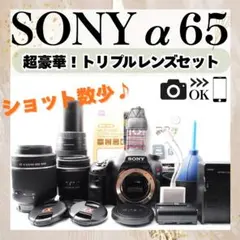2026年最新】sony α65の人気アイテム - メルカリ