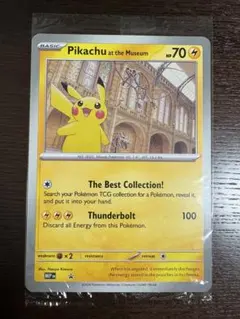 2026年最新】ロンドン ピカチュウの人気アイテム - メルカリ