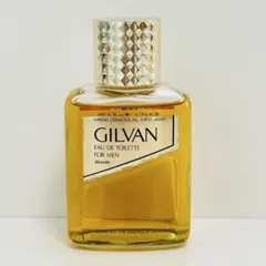 2026年最新】カネボウ ギルバンの人気アイテム - メルカリ